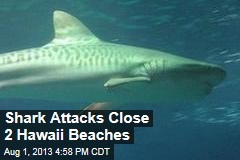 2 Shark Attacks Close Hawaii Beaches