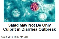 Salad May Not Be Only Culprit in Diarrhea Outbreak
