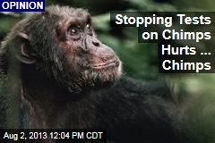 Stopping Tests on Chimps Hurts ... Chimps