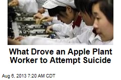 What Drove an Apple Plant Worker to Attempt Suicide