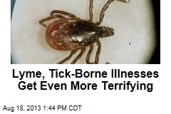 Lyme, Tick-Borne Illnesses Get Even More Terrifying