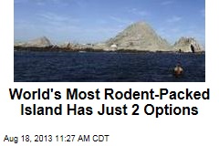 World&#39;s Most Rodent-Packed Island Has Just 2 Options