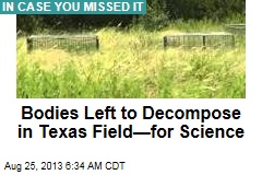 Bodies Left to Decompose in Texas Field&mdash;for Science