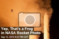 Yep, That&#39;s a Frog in NASA Rocket Photo