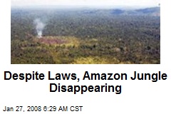 Despite Laws, Amazon Jungle Disappearing