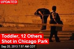 11 Adults, Toddler Shot at Chicago Park