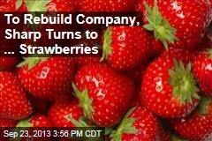 To Rebuild Company, Sharp Turns to ... Strawberries