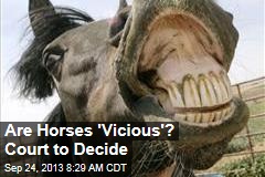 Are Horses &#39;Vicious&#39;? Court to Decide
