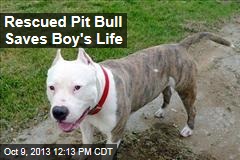 Rescued Pit Bull Saves Boy&#39;s Life
