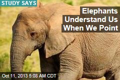 Elephants Understand Us When We Point