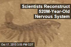 Scientists Reconstruct 520M-Year-Old Nervous System