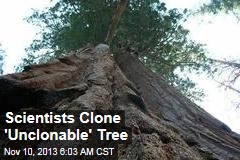 Scientists Clone &#39;Unclonable&#39; Tree