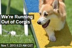 We&#39;re Running Out of Corgis