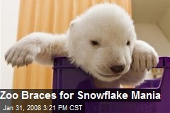 Zoo Braces for Snowflake Mania