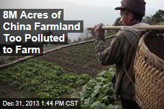 8M Acres of China Farmland Too Polluted to Farm