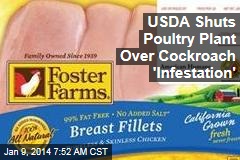 USDA Shuts Poultry Plant Over Cockroach &#39;Infestation&#39;