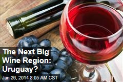 The Next Big Wine Region: Uruguay?