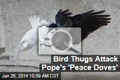 Pope&#39;s &#39;Peace Doves&#39; Immediately Attacked