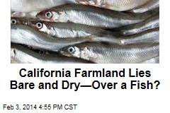 California Farmland Lies Dead and Dry&mdash;Over a Fish?