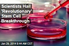 Scientists Hail &#39;Revolutionary&#39; Stem Cell Breakthrough