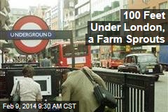 Under London&#39;s Underground, a Farm Sprouts