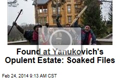 Found at Yanukovich&#39;s Opulent Estate: Soaked Files