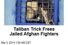 Taliban Trick Frees 10 Afghan Fighters