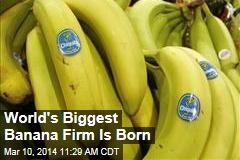 Chiquita Deal Births World&#39;s Biggest Banana Firm