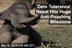 &#39;Zero Tolerance&#39; Nepal Hits Huge Anti-Poaching Milestone