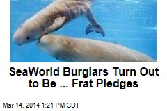 SeaWorld Burglars Turn Out to Be ... Frat Pledges