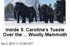 Inside S. Carolina&#39;s Tussle Over the ... Woolly Mammoth