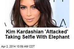 Kim Kardashian &#39;Attacked&#39; Taking Selfie With Elephant