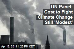 UN Panel: Cost to Fight Climate Change Still &#39;Modest&#39;