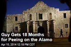 Guy Gets 18 Months for Peeing on the Alamo