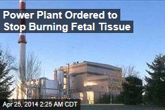 Power Plant Ordered to Stop Burning Fetal Tissue
