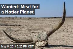 Wanted: Meat For a Hotter Planet
