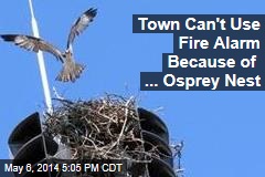 Town Can&#39;t Use Fire Alarm Because of ... Osprey Nest