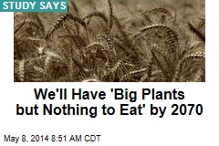 We&#39;ll Have &#39;Big Plants but Nothing to Eat&#39; by 2070