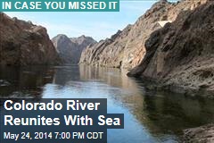 Colorado River Reunites With Sea