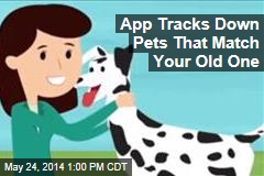 App Tracks Down Pets That Match Your Old One