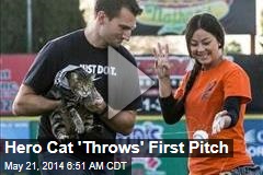 Hero Cat &#39;Throws&#39; First Pitch
