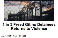 1 in 3 Freed Gitmo Detainees Returns to Violence