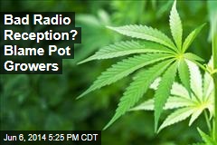 Bad Radio Reception? Blame Pot Growers