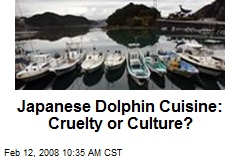 Japanese Dolphin Cuisine: Cruelty or Culture?