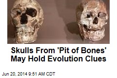 Skulls From &#39;Pit of Bones&#39; May Hold Evolution Clues