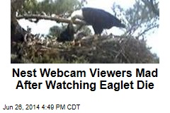 Nest Webcam Viewers Mad After Watching Eaglet Die