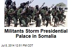 Militants Storm Presidential Palace in Somalia