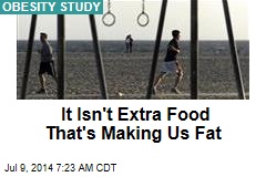 It Isn&#39;t Extra Food That&#39;s Making Us Fat