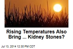 Rising Temperatures Also Bring ... Kidney Stones?