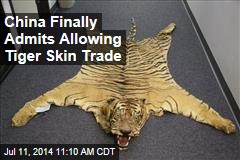 China Finally Admits Allowing Tiger Skin Trade